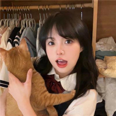 拳风恋影